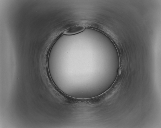 X0000111470673200907131239