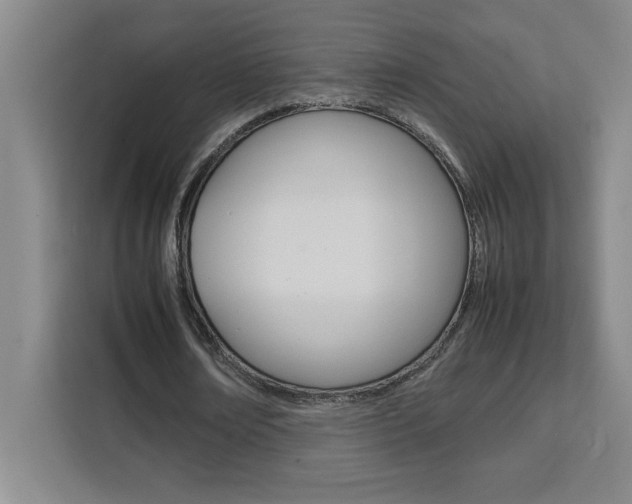 X0000111470674200907131239