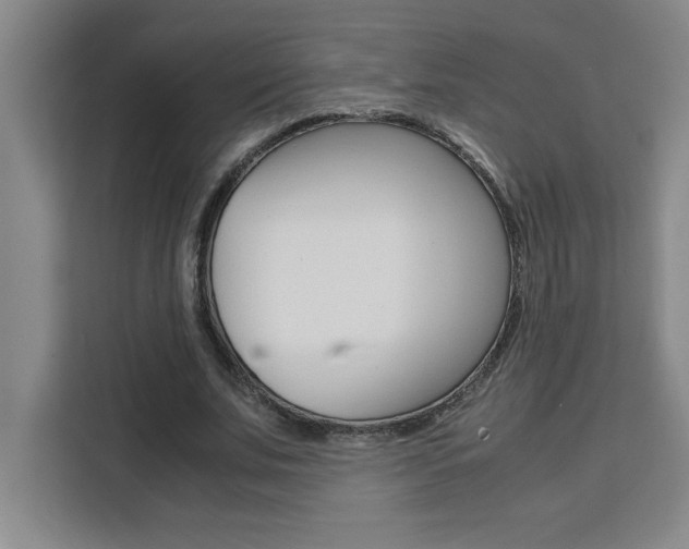 X0000111470679200907131239