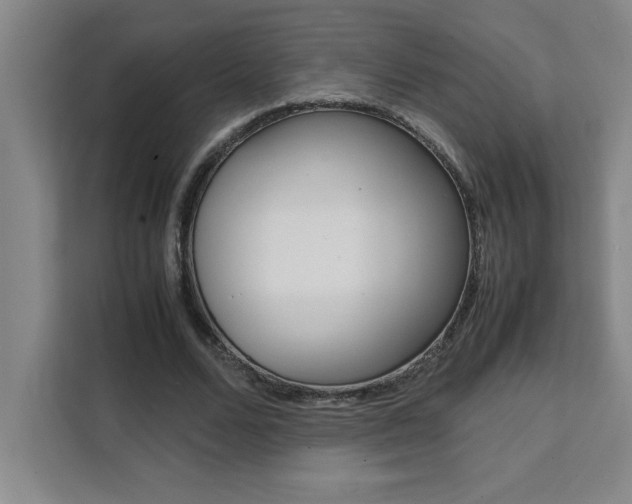 X0000111470680200907131239