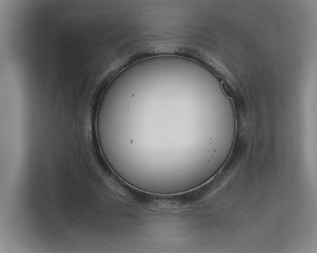 X0000111470681200907131239