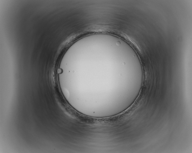 X0000111470682200907131239