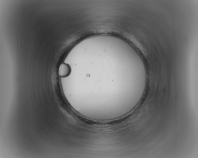 X0000111470683200907131239