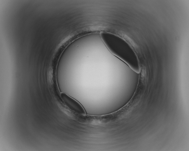 X0000111470684200907131239
