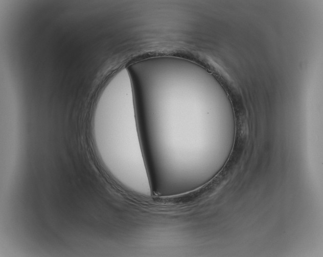 X0000111470685200907131239