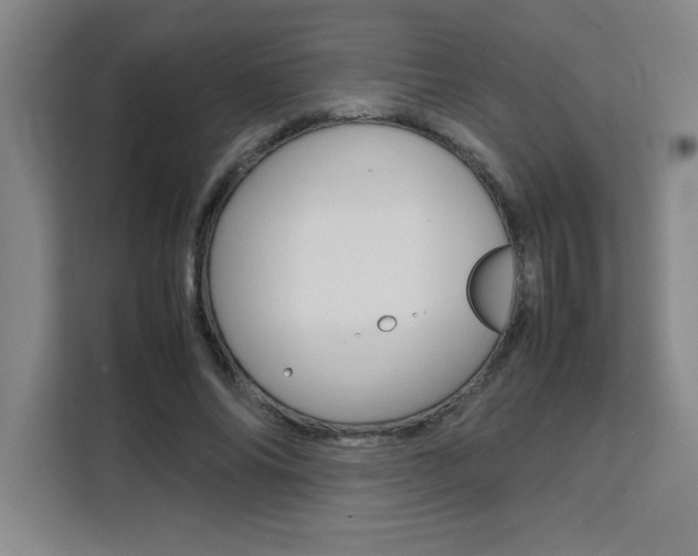 X0000111470686200907131239