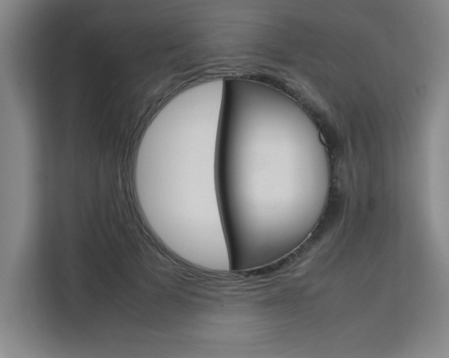 X0000111470697200907131238