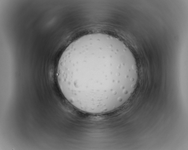 X0000111470698200907131238