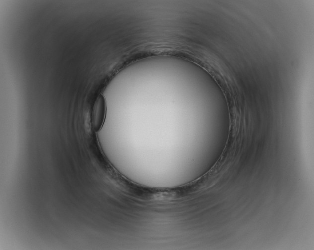 X0000111470700200907131238