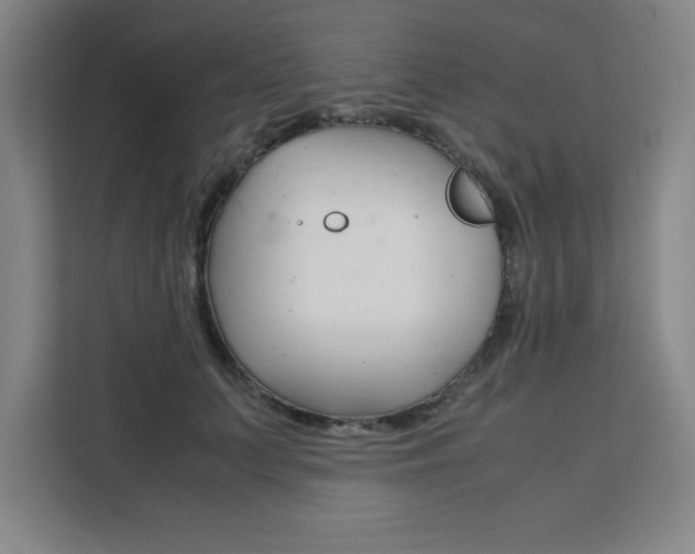 X0000111470703200907131238