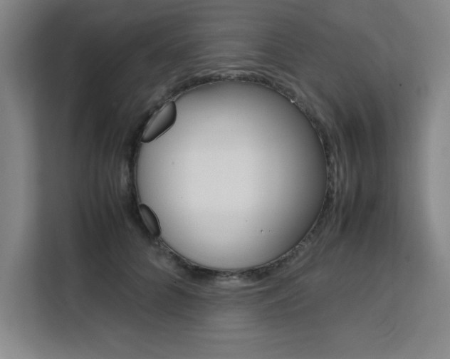 X0000111470704200907131238