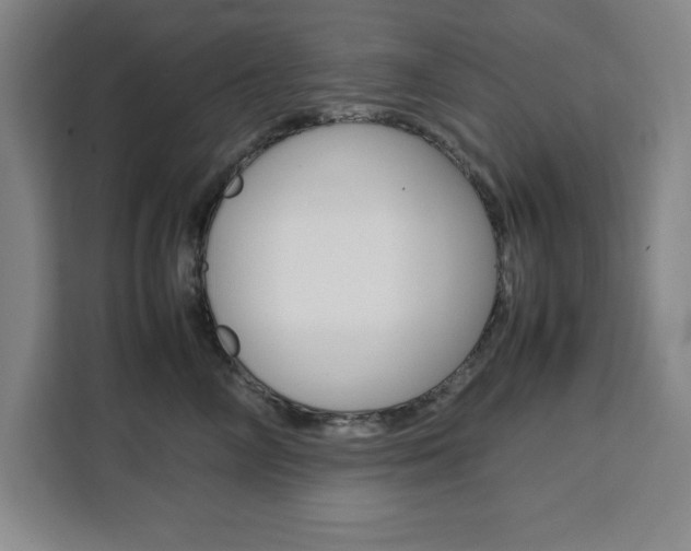 X0000111470714200907131238
