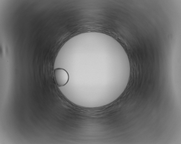 X0000111470716200907131238