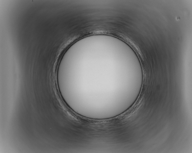 X0000111470721200907131237