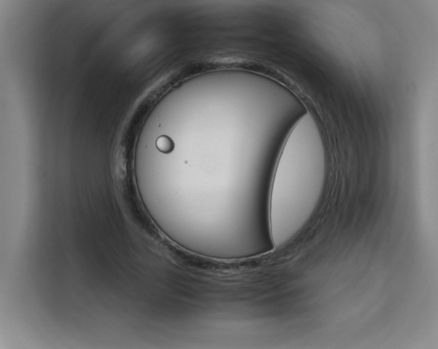 X0000111470731200907131238