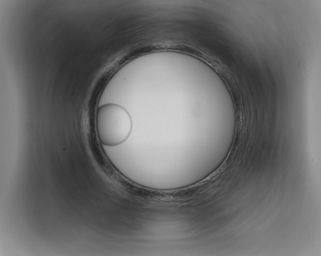 X0000111470734200907131238