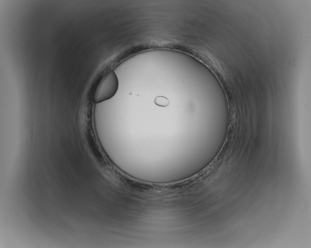 X0000111470736200907131238