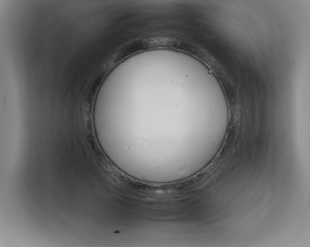 X0000111470737200907131238