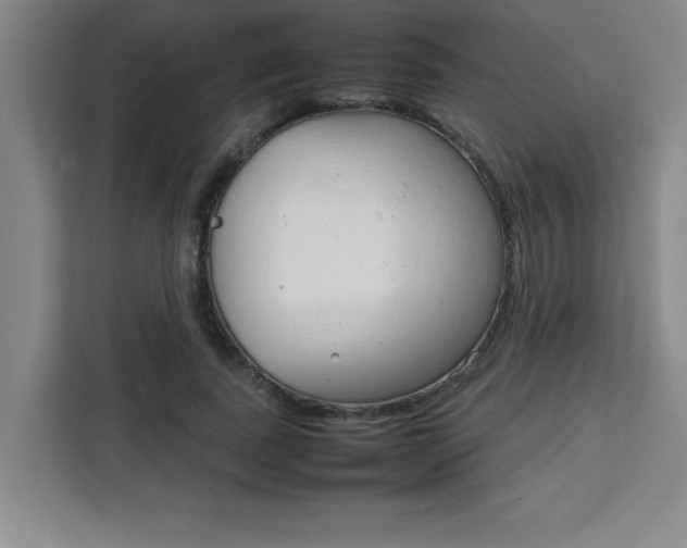 X0000111470739200907131238