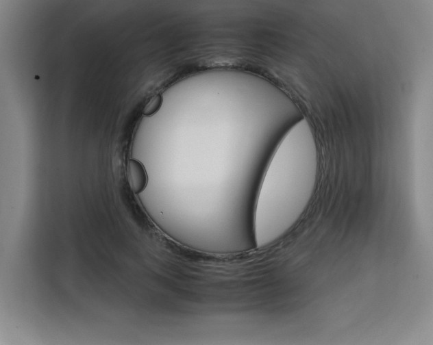 X0000111470743200907131238
