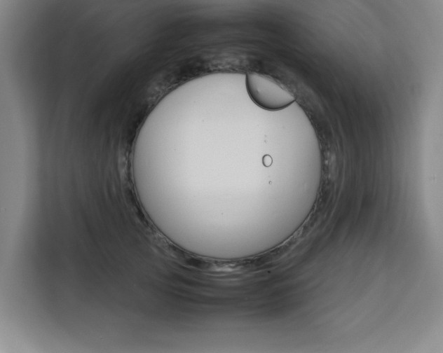 X0000111470753200907131238