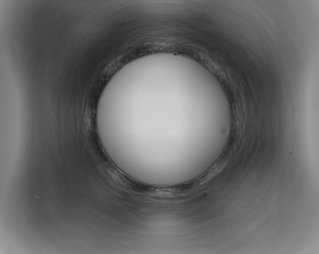 X0000111470758200907131238