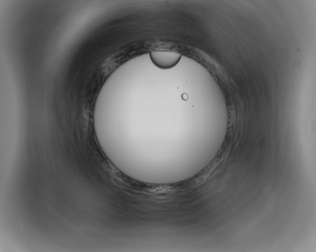 X0000111470761200907131238