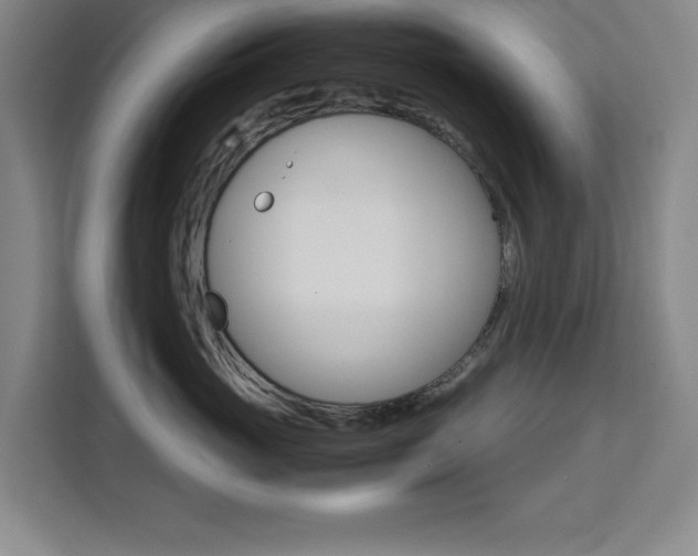 X0000111470765200907131238