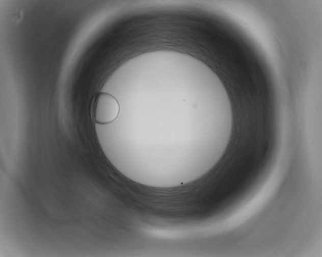 X0000111470766200907131238