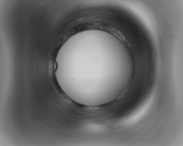 X0000111470767200907131238