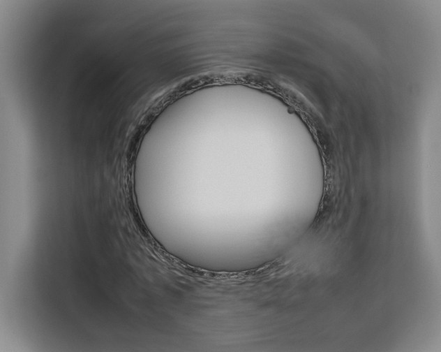 X0000111470773200907131237
