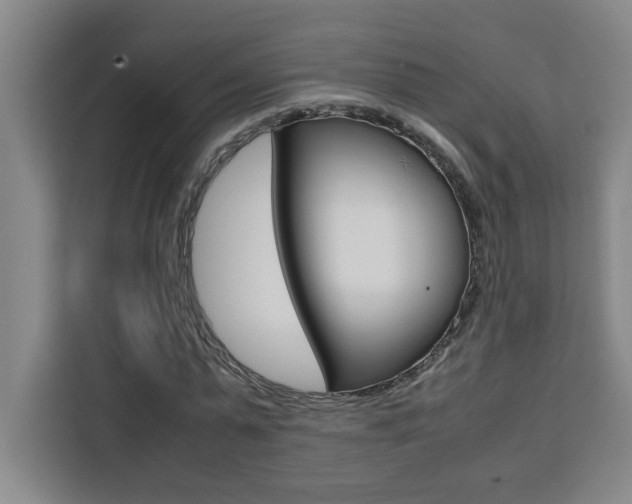 X0000111470775200907131237