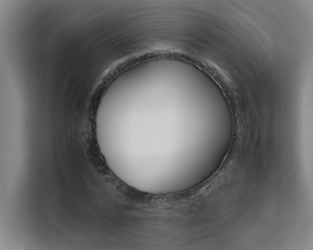 X0000111470776200907131237