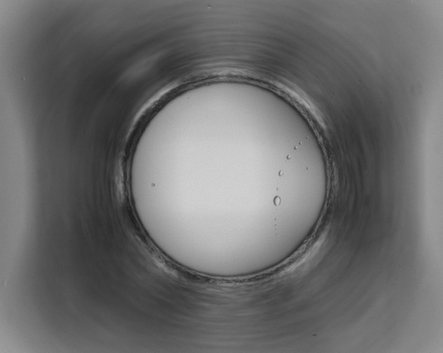X0000111470782200907131237