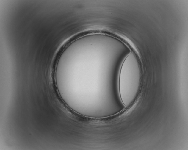 X0000111470783200907131237