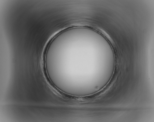 X0000111470787200907131237