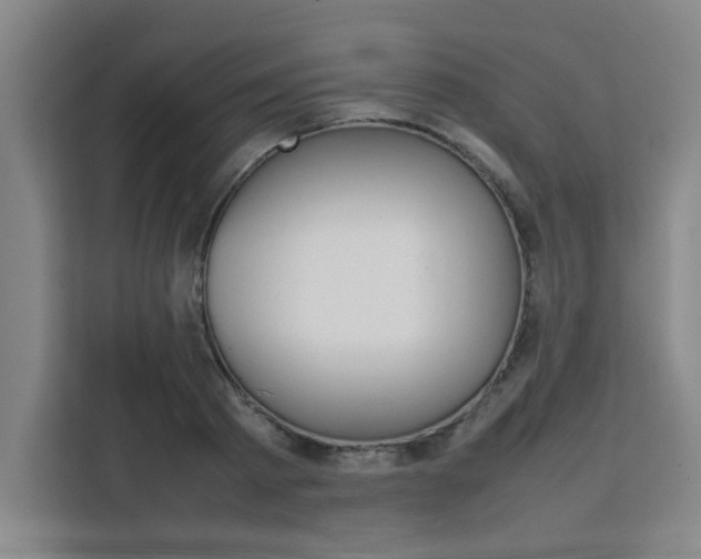 X0000111470793200907131237