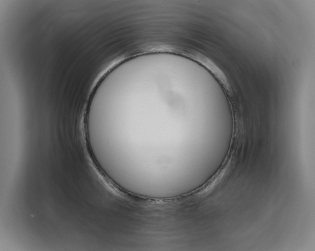 X0000111470806200907131237