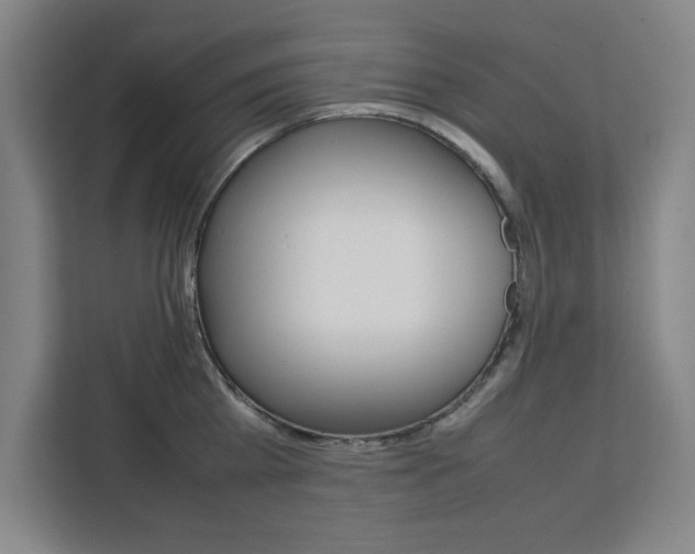 X0000111470809200907131237