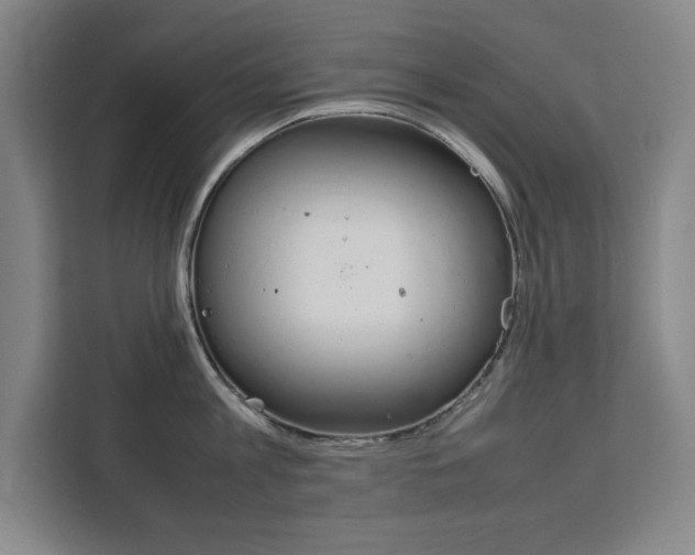 X0000111470813200907131237