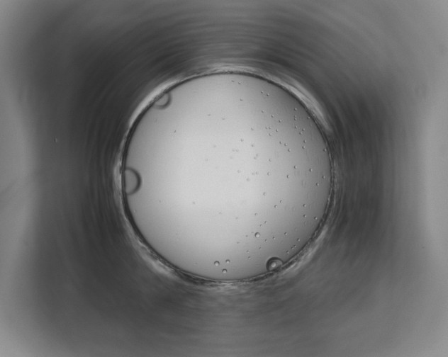 X0000111470814200907131237
