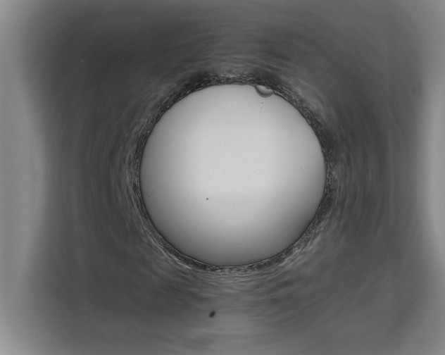 X0000111470817200907131236