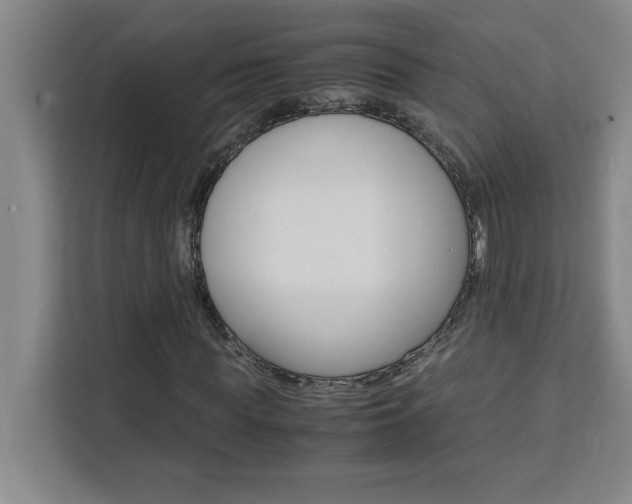 X0000111470819200907131236