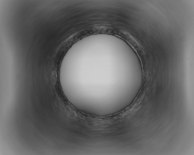 X0000111470821200907131236