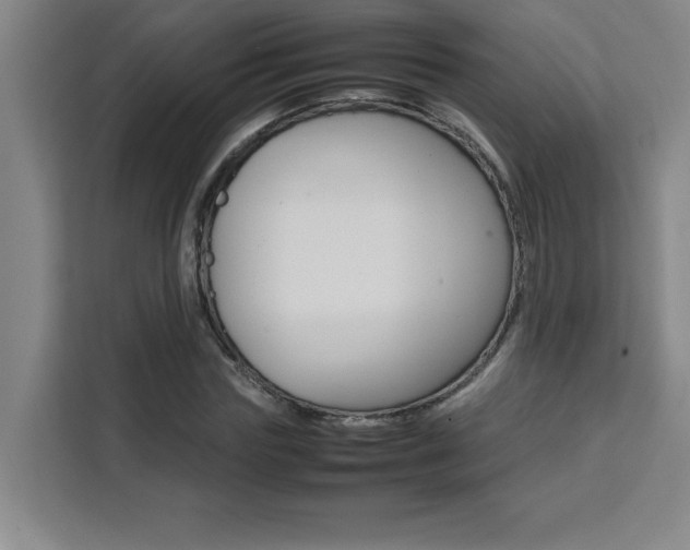 X0000111470827200907131236