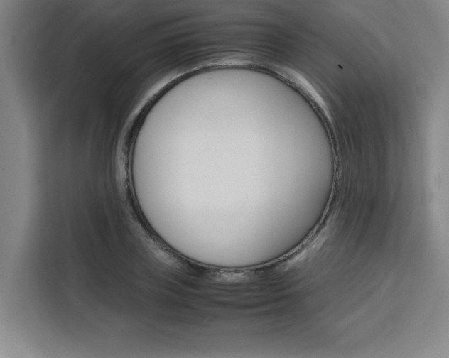 X0000111470835200907131236