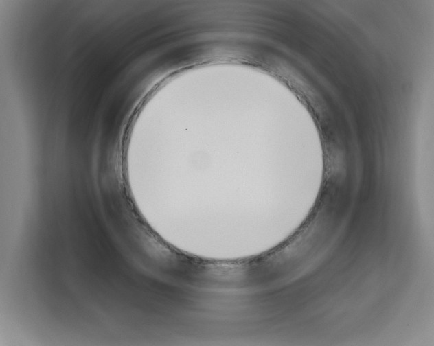 X0000111470836200907131236
