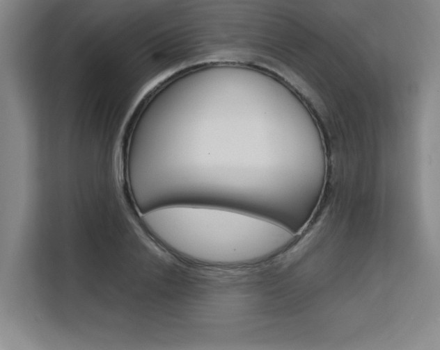X0000111470838200907131236