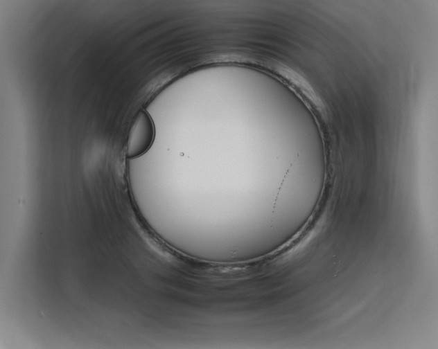 X0000111470841200907131237