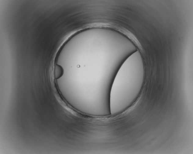 X0000111470844200907131237